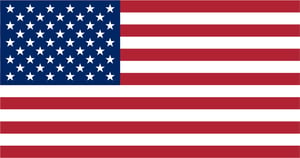 american flagAsset 1